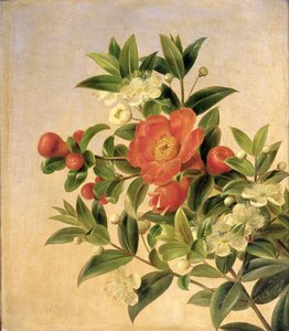 Blumen, 1835